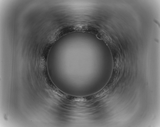 X0000094210659200710261211