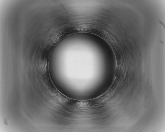 X0000094210660200710261211