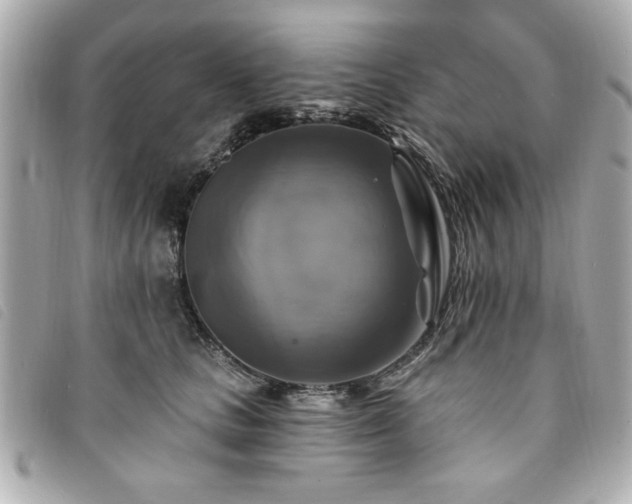 X0000094210661200710261211