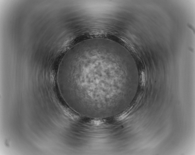 X0000094210662200710261212