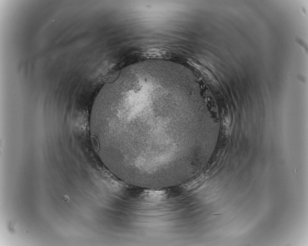 X0000094210665200710261212