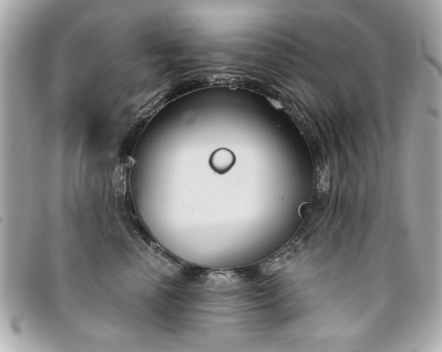 X0000094210666200710261212