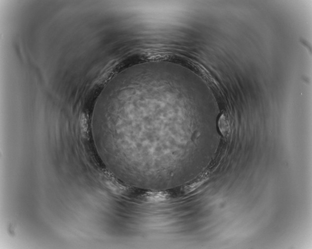 X0000094210667200710261212