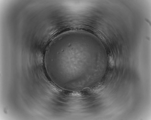 X0000094210668200710261212