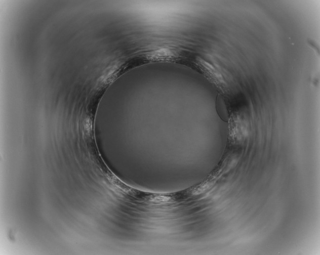 X0000094210669200710261212