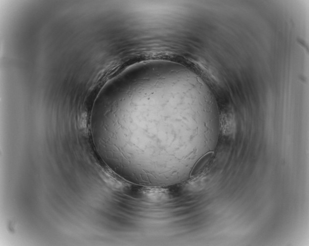X0000094210670200710261212