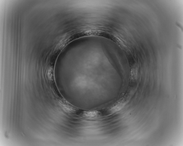 X0000094210671200710261212