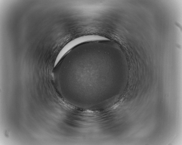 X0000094210672200710261212