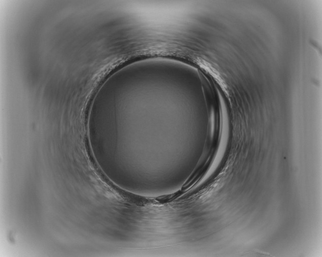 X0000094210673200710261211