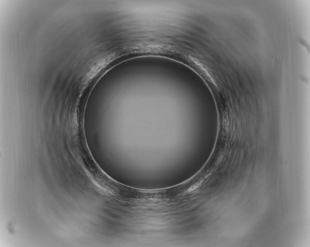 X0000094210674200710261211