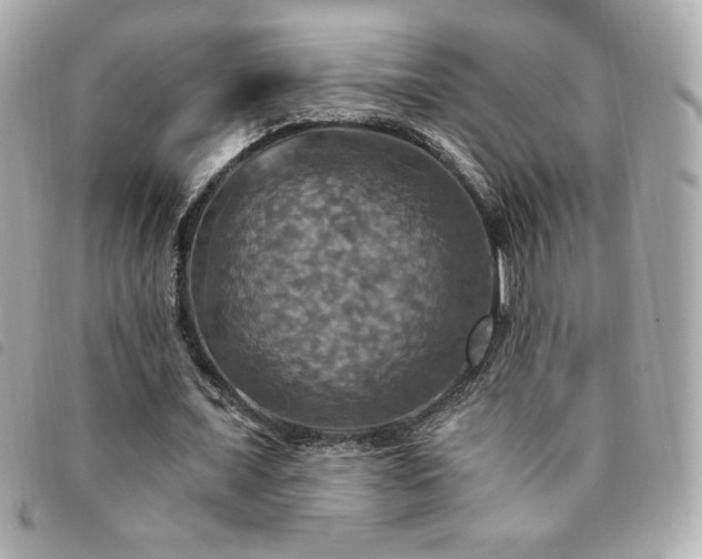 X0000094210675200710261211