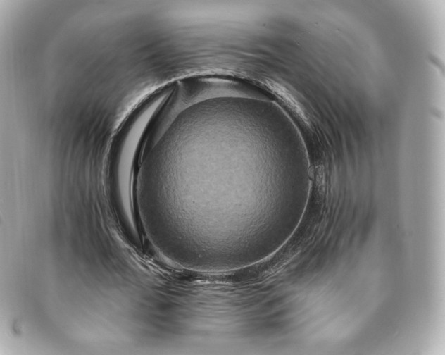 X0000094210676200710261211
