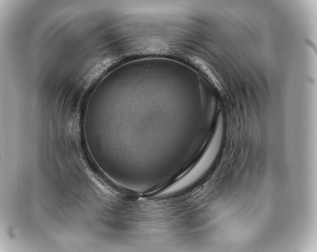 X0000094210677200710261211