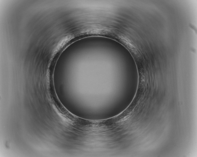 X0000094210678200710261211