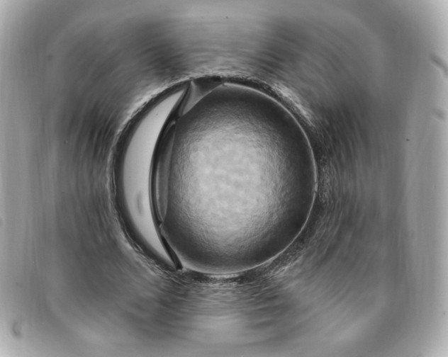 X0000094210680200710261211