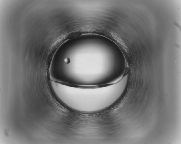 X0000094210681200710261211