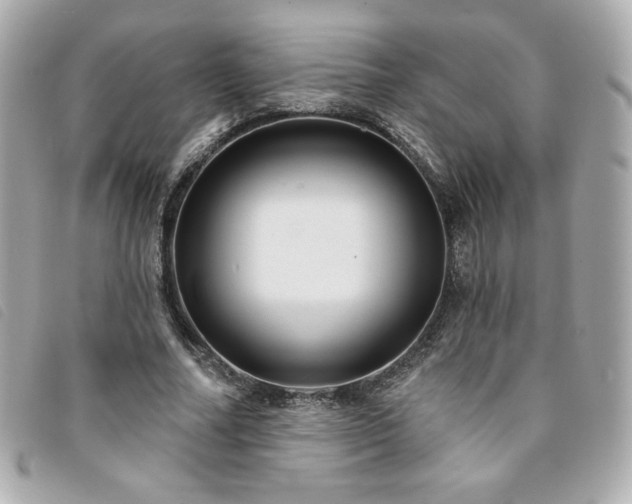 X0000094210682200710261211