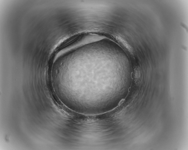 X0000094210684200710261211