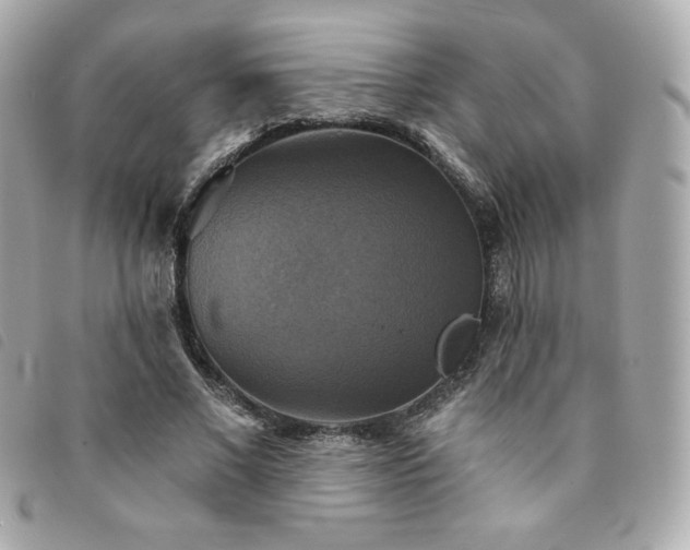 X0000094210685200710261211