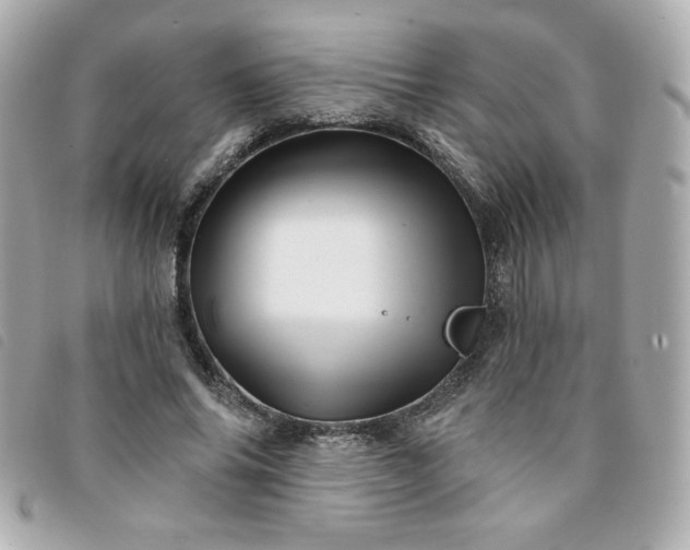 X0000094210686200710261211