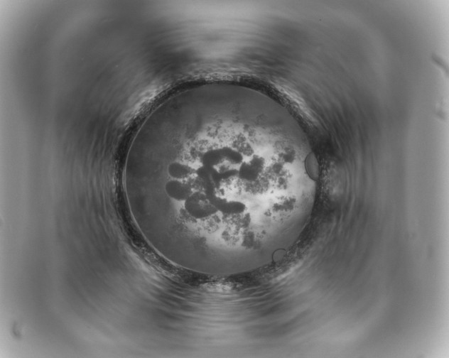 X0000094210687200710261211