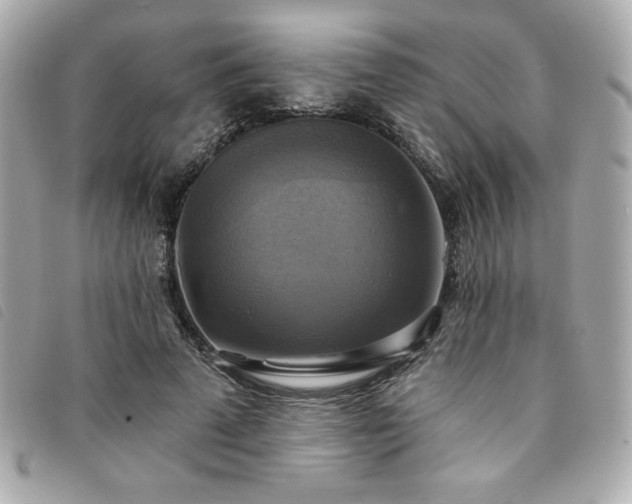 X0000094210689200710261211