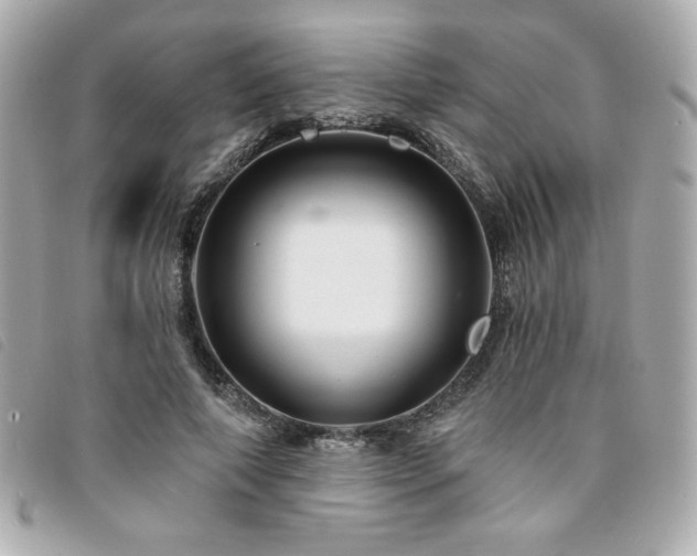 X0000094210690200710261211