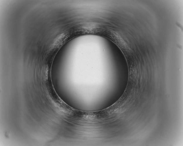 X0000094210694200710261211