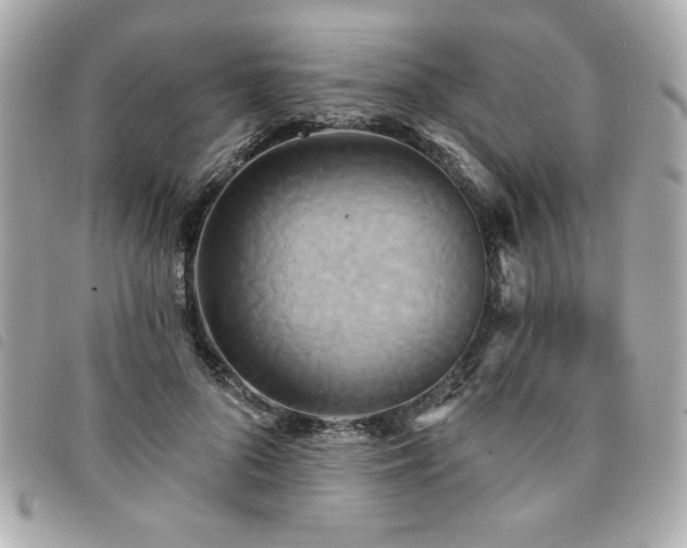 X0000094210696200710261211