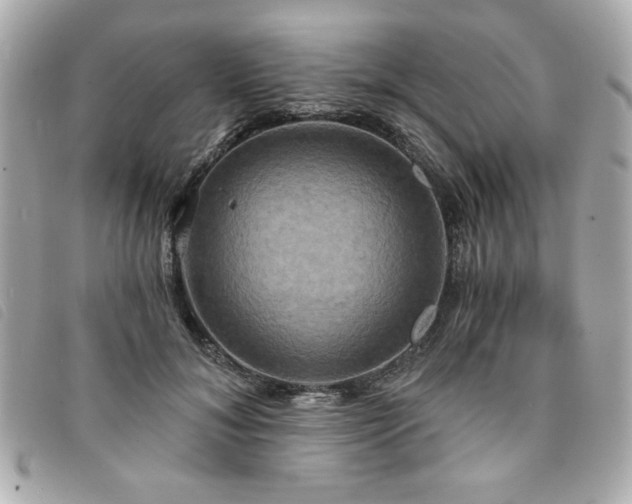 X0000094210700200710261211