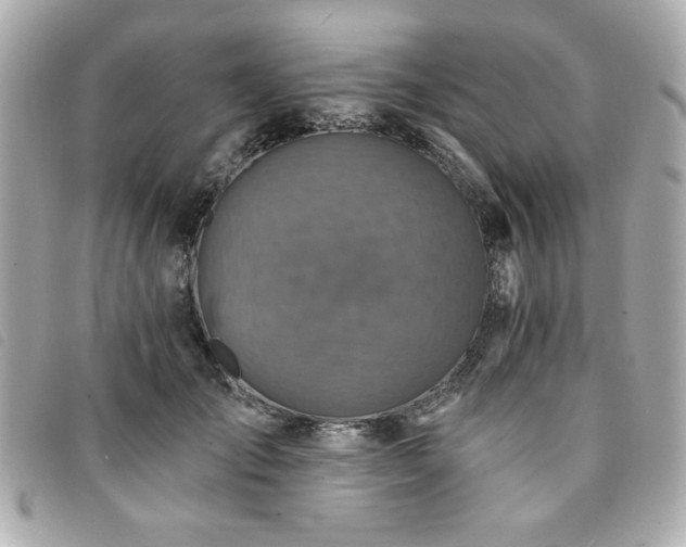 X0000094210701200710261211