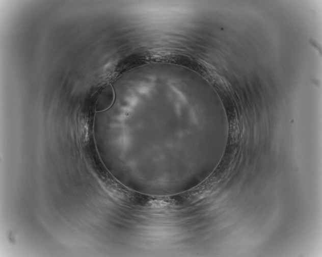 X0000094210703200710261211