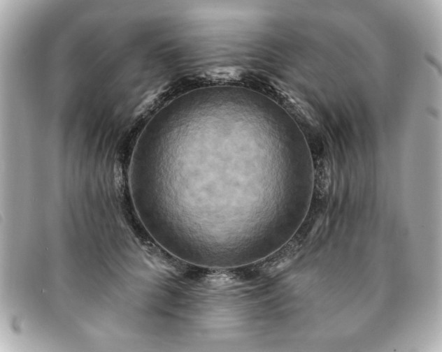 X0000094210704200710261211
