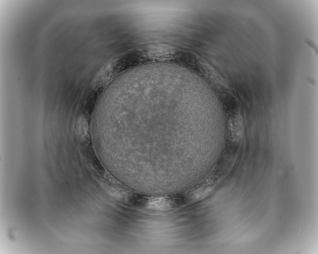 X0000094210705200710261211