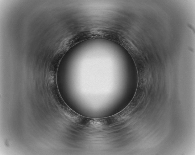 X0000094210706200710261211