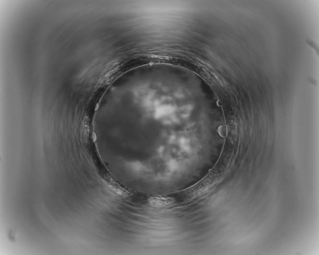 X0000094210707200710261210