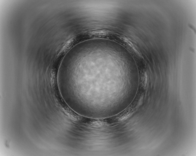 X0000094210708200710261210