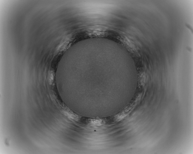 X0000094210709200710261210