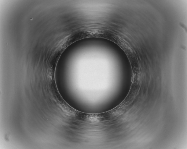 X0000094210710200710261210