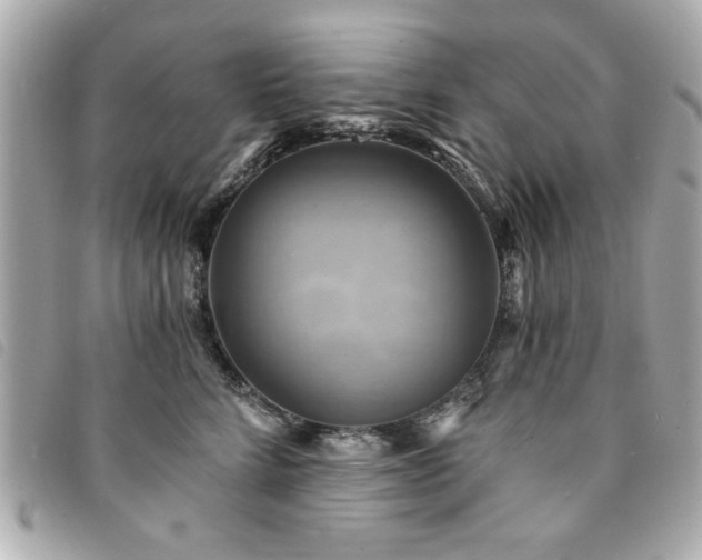 X0000094210712200710261210
