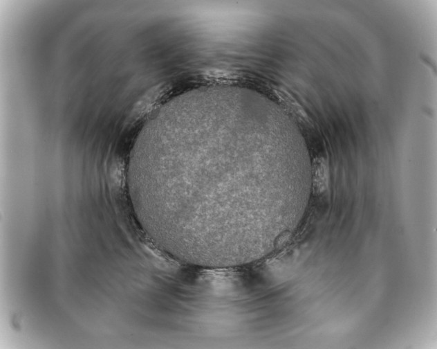 X0000094210713200710261210