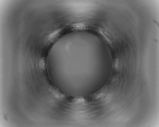 X0000094210715200710261210