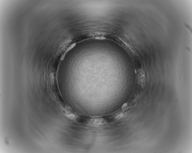 X0000094210716200710261210