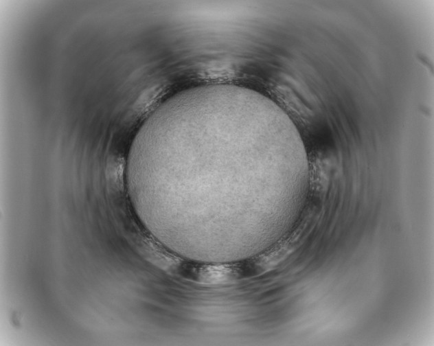 X0000094210717200710261210