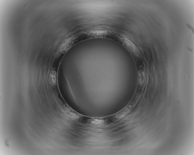 X0000094210718200710261210