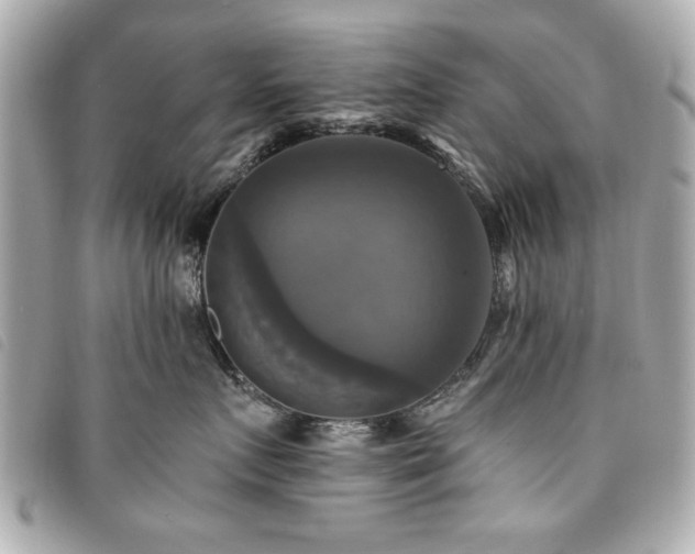 X0000094210719200710261210