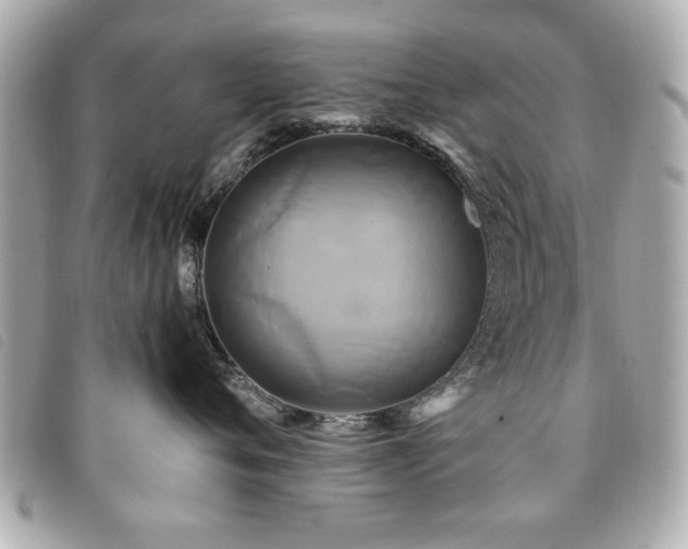X0000094210720200710261210