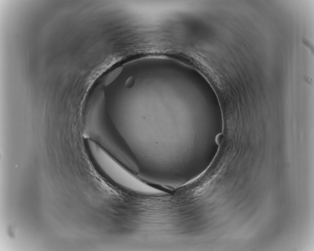 X0000094210721200710261210