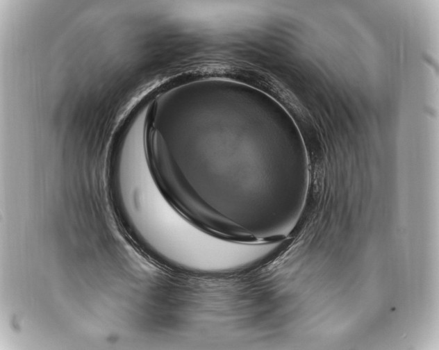 X0000094210722200710261210