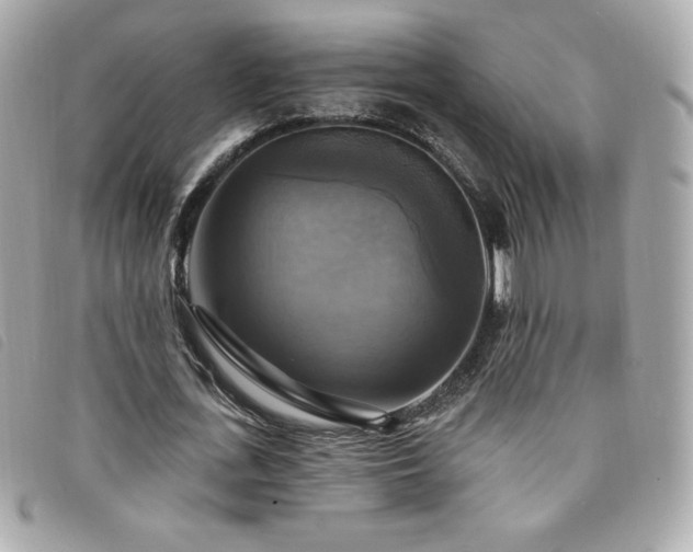 X0000094210723200710261210